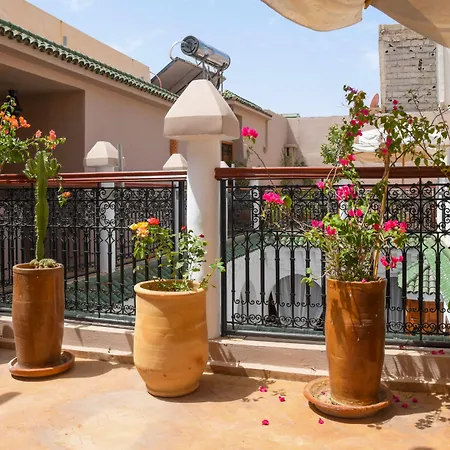Riad Berenssi-3